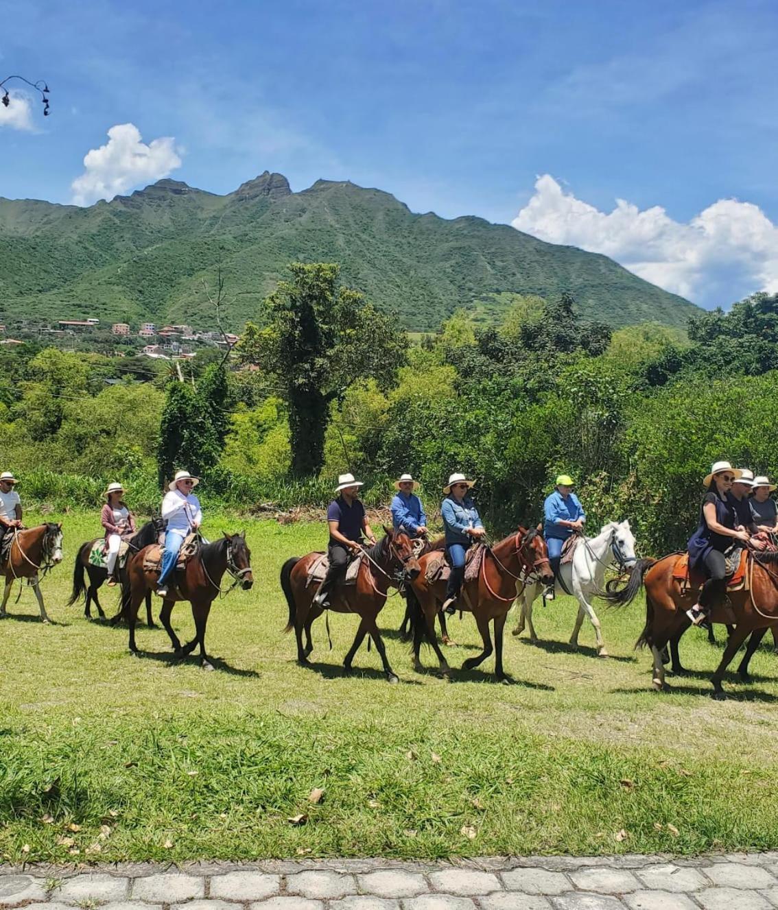 El Descanso Del Toro Hosteria-Spa Vilcabamba Kültér fotó